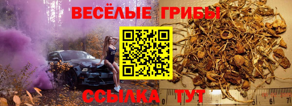 Псилоцибиновые грибы мицелий Полевской