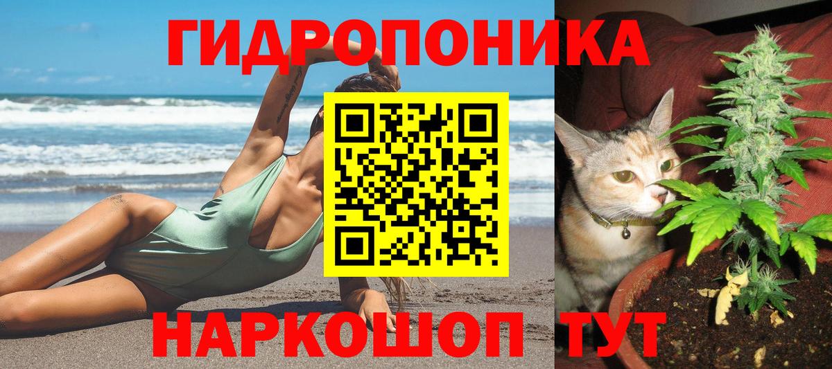 Бошки Шишки Ganja  Канабис план  Канабис ГИДРОПОН  Канабис сатива  Полевской  Вход с VPN 